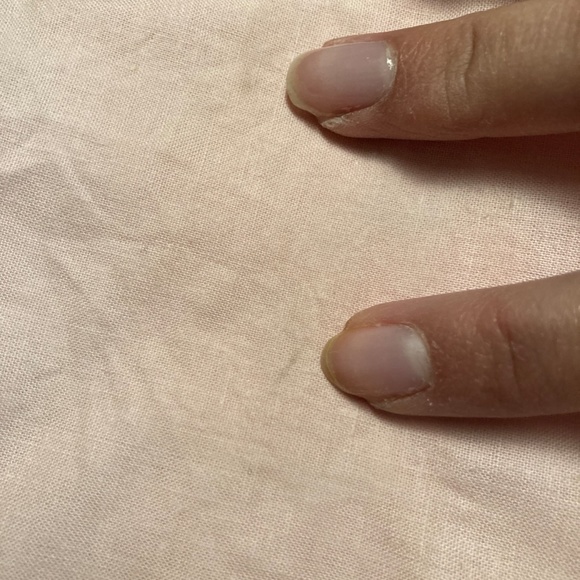 New Imported Italian 2 Pillow Case & Flat Sheet Set A Norma Di Legge No 883 - Picture 7 of 8